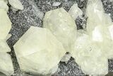 Tabular Nailhead Spar Calcite Crystals on Quartz - China #350845-3